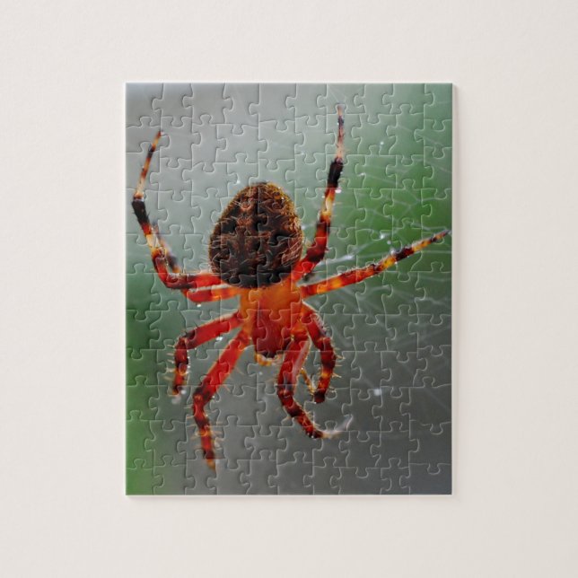 A Hungry Spider Waits Jigsaw Puzzle (Vertical)