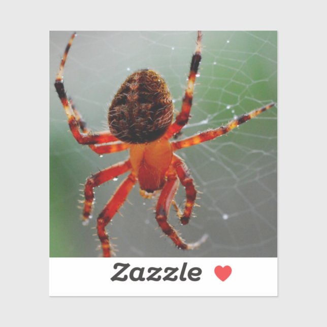 A Hungry Spider Waits Sticker (Sheet)