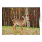A Hunter's Dream Deer (Front Horizontal)