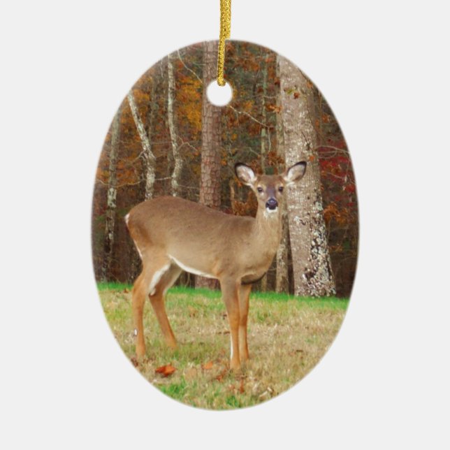 A Hunter's Dream Deer Ceramic Ornament (Front)