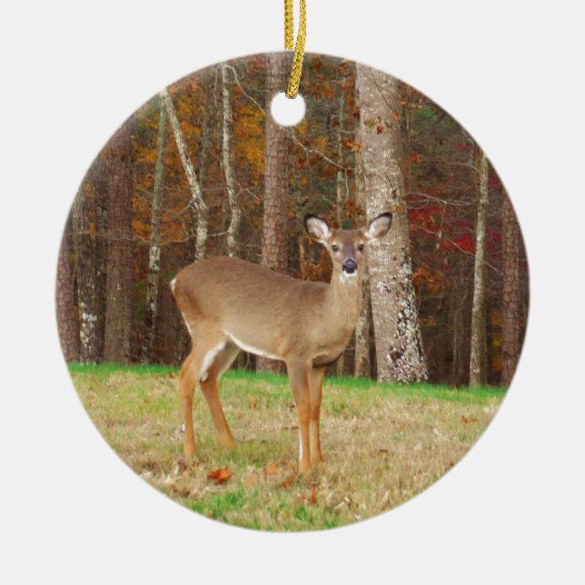A Hunter's Dream Deer Ceramic Ornament (Front)