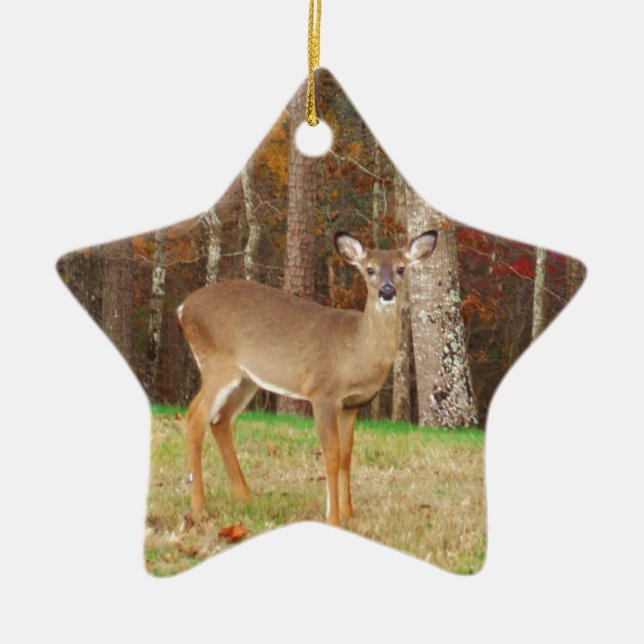 A Hunter's Dream Deer Ceramic Ornament (Front)