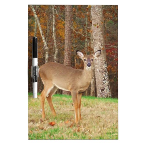 A Hunters Dream Deer Dry Erase Board