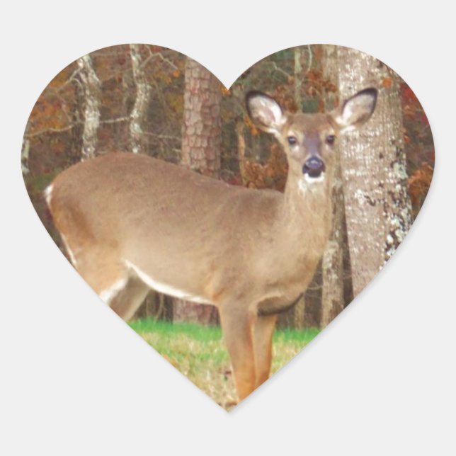 A Hunter's Dream Deer Heart Sticker (Front)