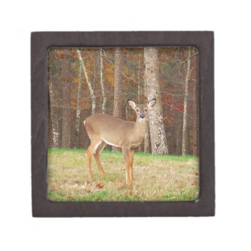 A Hunters Dream Deer Keepsake Box