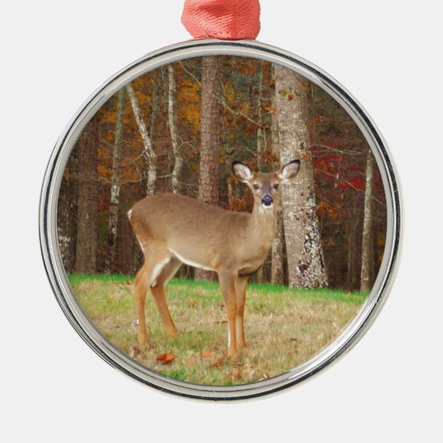 A Hunter's Dream Deer Metal Ornament (Front)