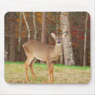 A Hunter's Dream Deer Mouse Pad