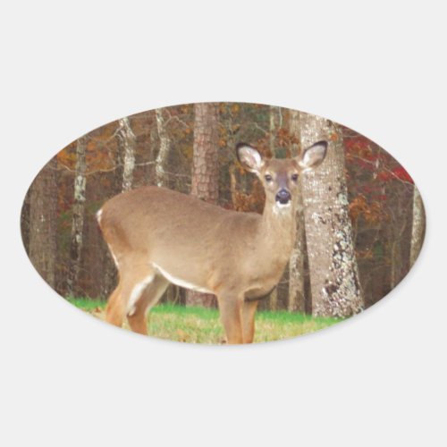 A Hunters Dream Deer Oval Sticker