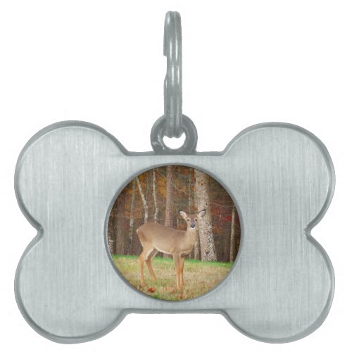 A Hunters Dream Deer Pet Name Tag