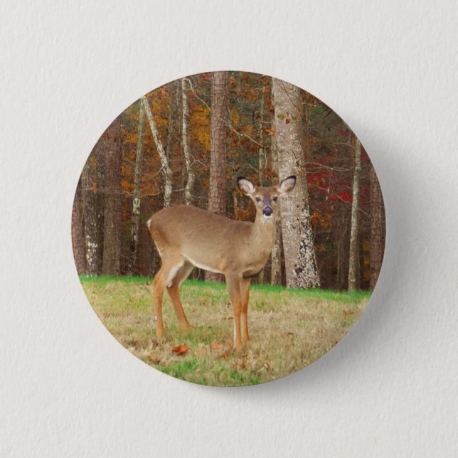 A Hunter's Dream Deer Pinback Button (Front)