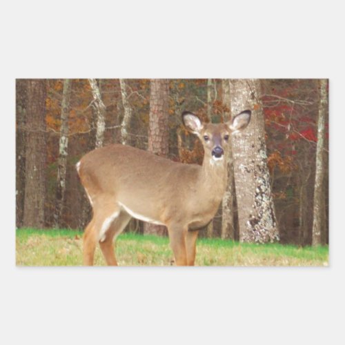 A Hunters Dream Deer Rectangular Sticker