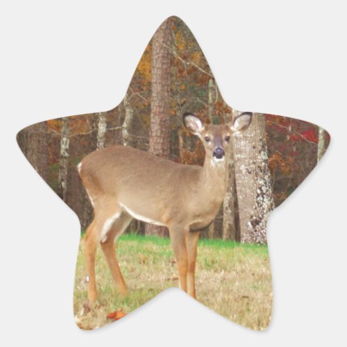 A Hunters Dream Deer Star Sticker