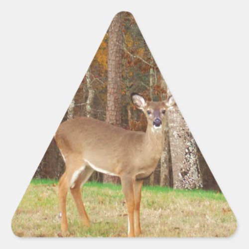 A Hunters Dream Deer Triangle Sticker