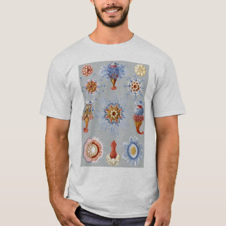 A Hydrozoan - Siphonophores T-Shirt