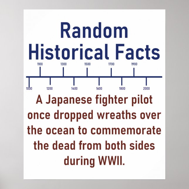 A Japanese Fighter Pilot - History Fact Poster (Front)