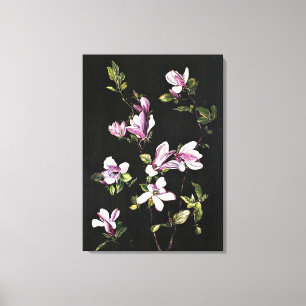 A Japanese Magnolia Canvas Print