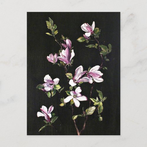 A Japanese Magnolia painting by Marianne North Postcard