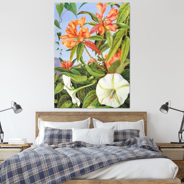 A Javan Rhododendrum and Ipomoea Canvas Print (Insitu(Bedroom))