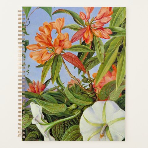 A Javan Rhododendrum and Ipomoea Planner