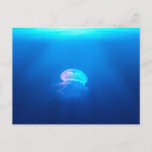 A Jellyfish Postcard at Zazzle
