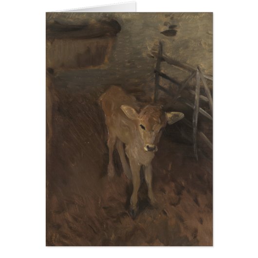 A Jersey Calf Cards (Front)