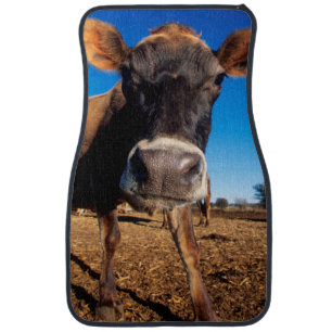 A Jersey cow being inquisitive Car Floor Mat