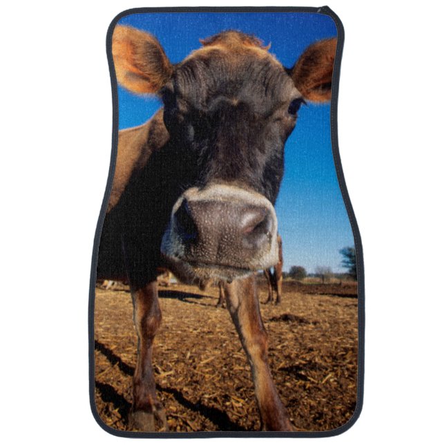 A Jersey cow being inquisitive Car Floor Mat (Front)