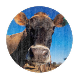 A Jersey cow being inquisitive Cutting Board