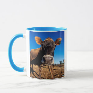 A Jersey cow being inquisitive Mug