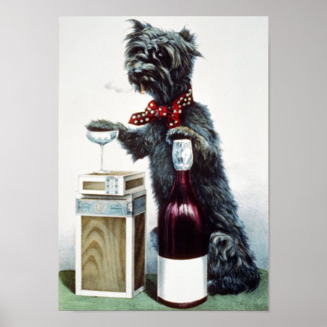 A jolly dog poster (Front)