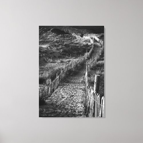 A Journey Made fine art black and white Canvas Print