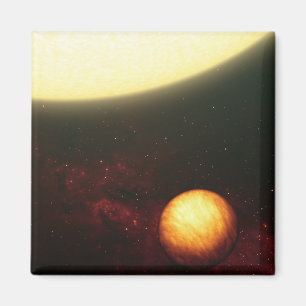 A Jupiter-like planet Magnet