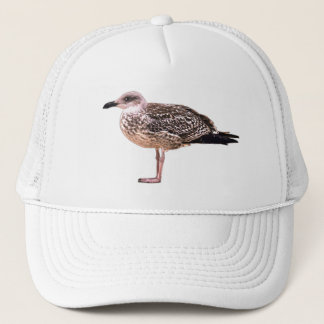 A juvenile large white-headed gull trucker hat