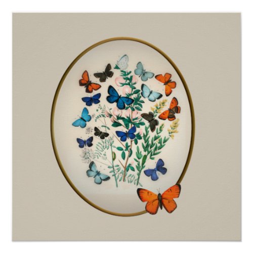 A Kaleidoscope of Butterflies Vintage Illustr Poster