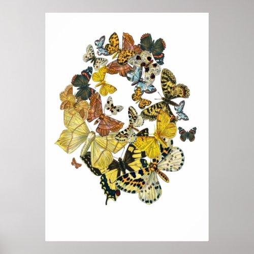 A Kaleidoscope Of Vintage Butterflies Vector Poster