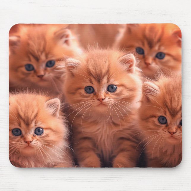 A Kindle Of Cute Kittens on Laptop Desktop Tablet Mouse Pad (Front)
