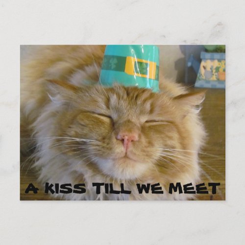 A Kiss Till We Meet Postcard