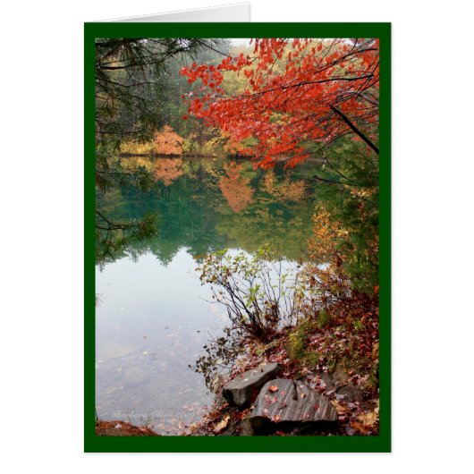 A Lake is Earth's Eye Cards (Front)
