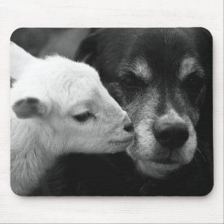 A Lamb's Kiss Mouse Pad
