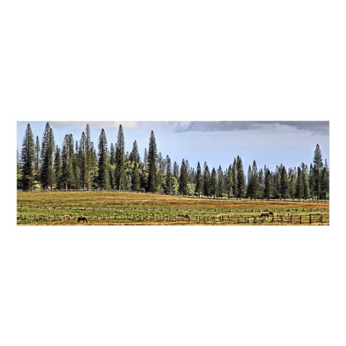 A Lanai Ranch Panoramic Photo Print