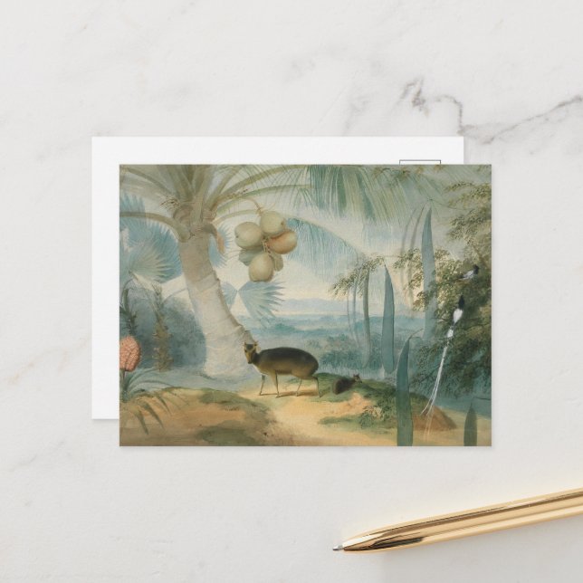 A Landscape in Ceylon by Samuel Daniell Postcard (Front/Back In Situ)