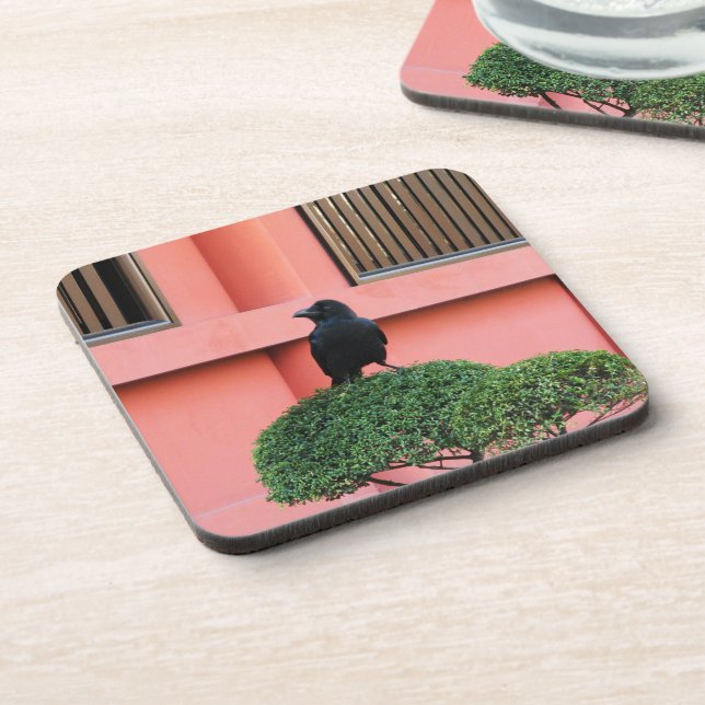 A Large-Billed Jungle Crow A Perch On A Cloud Tree Beverage Coaster (Left Side)