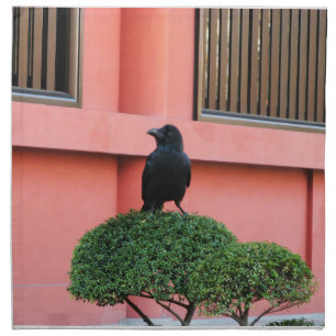 A Large-Billed Jungle Crow A Perch On A Cloud Tree Cloth Napkin