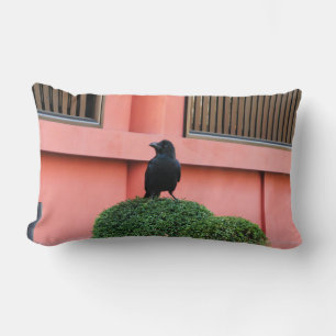 A Large-Billed Jungle Crow A Perch On A Cloud Tree Lumbar Pillow