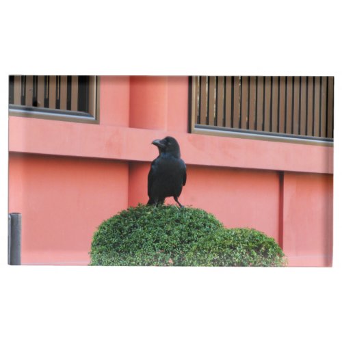 A Large_Billed Jungle Crow A Perch On A Cloud Tree Place Card Holder