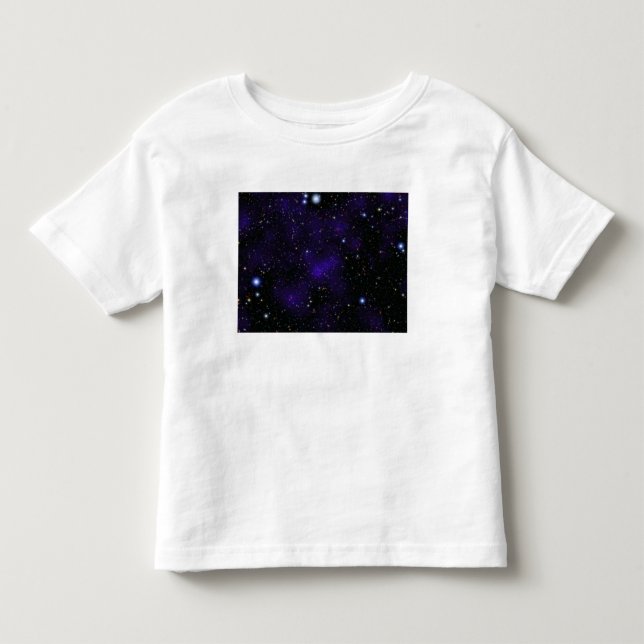 A large collection of galaxies toddler t-shirt (Front)