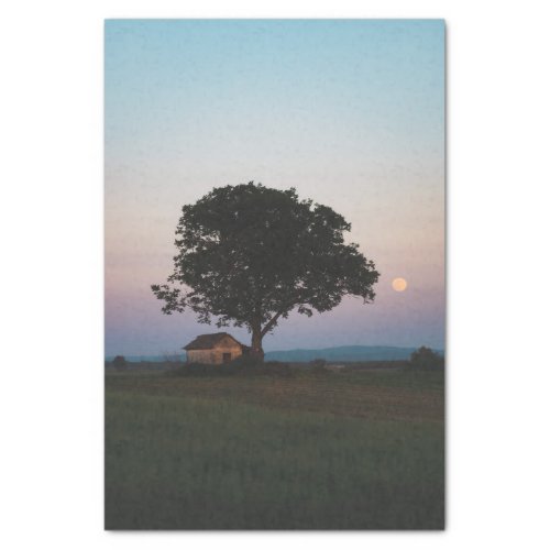 A Large Solitary Tree Guarding a Barn Tissue Paper