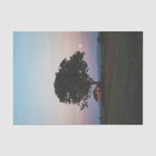 A Large Solitary Tree Guarding a Barn Tissue Paper