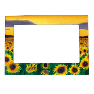 A large sunflower field at sunset   magnetic frame