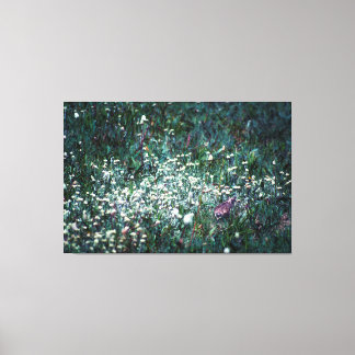 A Lark in a Meadow Canvas Print
